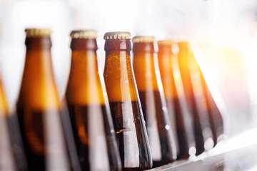 Production brewery Line, Rows of bottled beer with golden hue on industrial conveyor