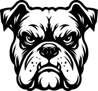 bulldog head, animal illustration