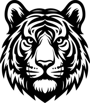tiger head, animal illustration