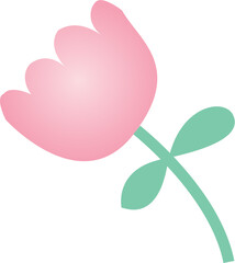 Valentines Day tulip flower