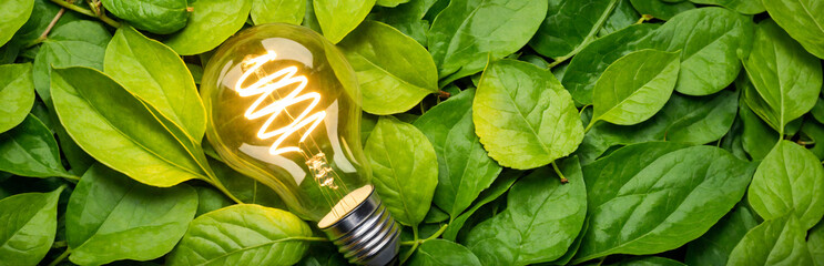 A luminous, environmentally friendly spiral light bulb is located among bright green leaves.