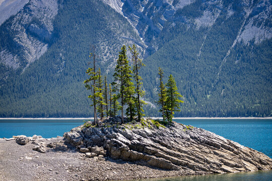 Small cluster of pine trees on rocky outcrop in Lake Minnewanka, Banff National Park, Alberta, Canada.