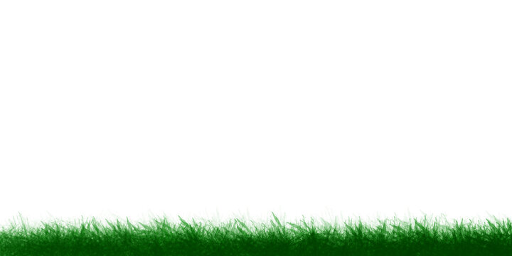 Green grass meadow on transparent background. Easter concept: spring, Easter, holiday. PNG image