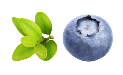 Berry blueberry berry with green leaf close-up. Fruity still life for organic healthy food, isolated. PNG.