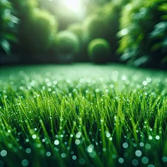 Gordijnen natural green background with selective focus © Viktoryia