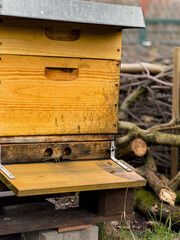 Ein gelber Bienenstock aus Holz steht im Freien. Im Hintergrund ist eine Bentjeshecke aus Holz...