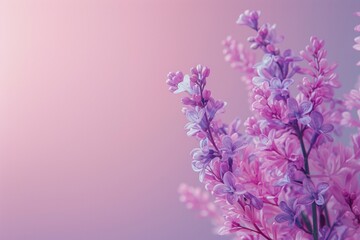 a bunch of purple flowers on a pink background