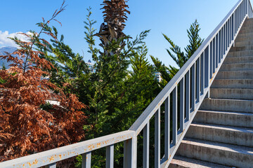 Upwards Shot of a Stairway Staircase Infront of green trees foliage Under the Clear Blue Sky,...