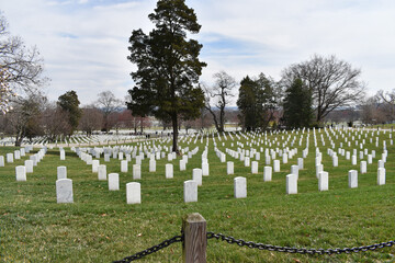 Fototapeta na wymiar Washington DC, USA - March 10, 2022 - Arlington National Cemetery