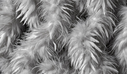 white fluffy feather boa with