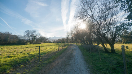 Camino en zona rural de Asturias