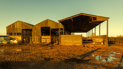 Beautiful view of an English rural cow barn in the morning.