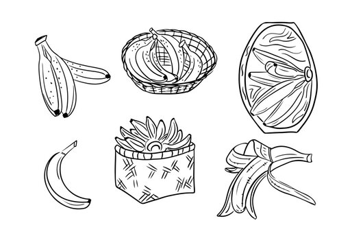 Hand drawn sketchy outline set with banana fruits. Doodle black contour fruits in basket and on plate on white background. Ideal for coloring pages, tattoo, pattern