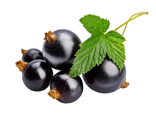 Berries black currant with green leaf. Fresh fruit, isolated. PNG. - 735384436