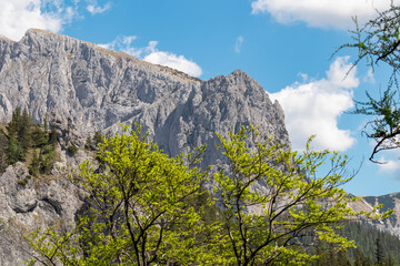 Panoramic view of majestic steep mountain peak Foelzstein in untamed Hochschwab mountain region, Styria, Austria. Scenic hiking trail on sunny day in remote Austrian Alps. Wanderlust in alpine summer