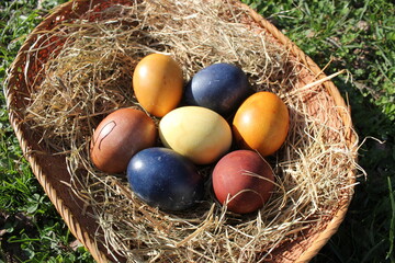Naturally colored Easter eggs in a basket on a meadow