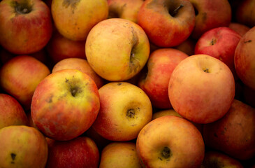 Bunch of Apples