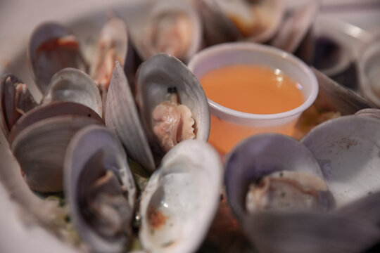 Steamed Clams with Butter