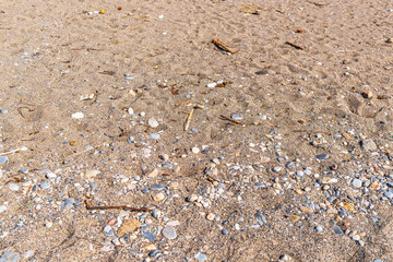 Close up Shot of a Dirty Sandy and Rocky beach, Climate issues and Causes, environmental issues and causes