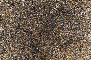 Close up Shot of a Wet Sandy and Rocky Beach Pebbles, Texture Background of a Sea Shore