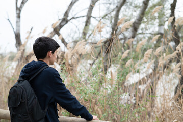 Fototapeta premium Solitary Observer: A Person Leaning on a Railing, Overlooking a Natural Landscape