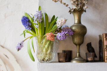 Vase with colorful hyacinth