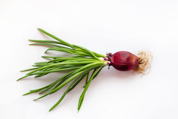 Red onions on a white background. Fresh green onion feathers.