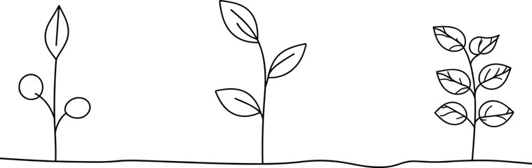 
Plant growing line art, botanical illustration vector, growth cycle drawing, nature line artwork, seedling development, organic growth, gardening vector illustration