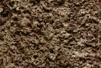 Pattern of old bark wood.Embossed wood texture big brown tree surface.Template for design.Abstract natural background.Nature pattern.Space for work.Banner.Wallpaper.Selective focus.Close up.