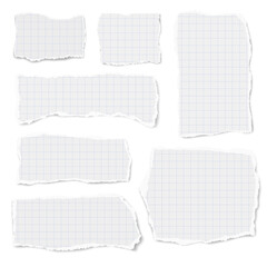 Set of vector checkered paper of different shapes ripped scraps fragments wisps isolated on white background. Paper collage. Vector illustration.
