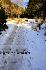 朝日さしこむ雪の尾根道　丹沢の大倉尾根　茅場ノ平
