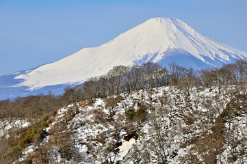 雪稜の向こうに聳える富士山　塔ノ岳の大倉尾根より望む
