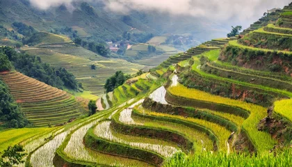 Fotobehang beautiful terraced rice field in hoang su phi in vietnam © Pauline