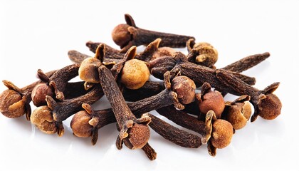 dried cloves isolated on white background top view