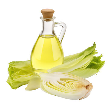 fresh raw organic endive oil in glass bowl png isolated on white background with clipping path. natural organic dripping serum herbal medicine rich of vitamins concept. selective focus