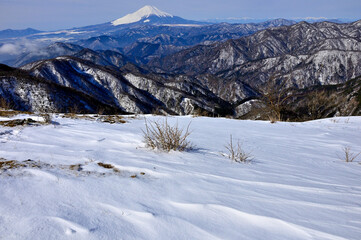 Fototapeta na wymiar 厳冬の丹沢山地　雪の塔ノ岳山頂より望む富士山 
