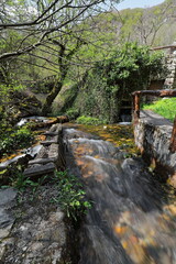 High-rate flow of water from Vevcani springs running down from Jablanica mountain, then flowing through the village. Vevchani-North Macedonia-341