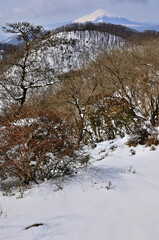 雪の丹沢山地　鍋割山稜の小丸より望む富士山と鍋割山
