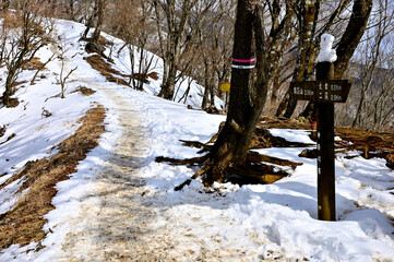 冬の丹沢　雪の鍋割山南山稜の尾根道
 - obrazy, fototapety, plakaty