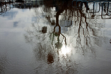 land under water,flood on the weser near rinteln