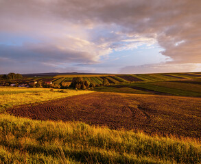 Spring yellow flowering rapeseed and small farmlands fields