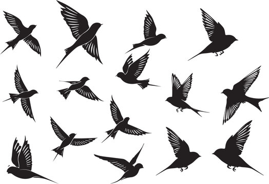 Set of Birds Flying Black Silhouettes