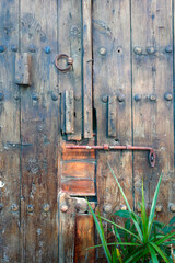 old wooden front door with green plant