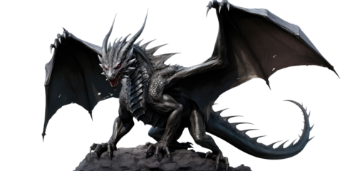 Black dragon isolated on transparent white background