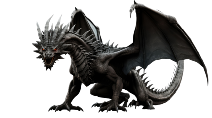 Black dragon isolated on transparent background