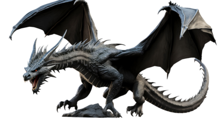Black dragon isolated on transparent white background