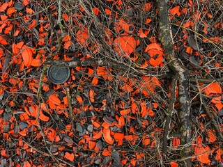 Clay pigeon targets broken over the ground black and orange