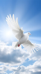 Sublime Solitude: The Serene Moment of a Resilient Dove Soaring in the Expanse of a Clear Blue Sky