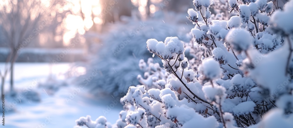 Canvas Prints Serene winter landscape with snow-covered tree and tranquil snowy scene at dawn