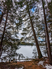 Hardy Lake Trail, Muskoka, Ontario - 735442052